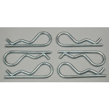 Team Associated Body Pin Büyük Boy
