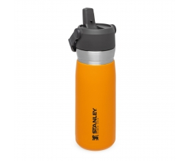 The IceFlow™  Flip Straw Water Bottle  .65L / 22oz - Saffron